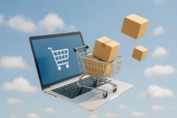 iz-ecommerce