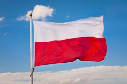 poland autorised representative