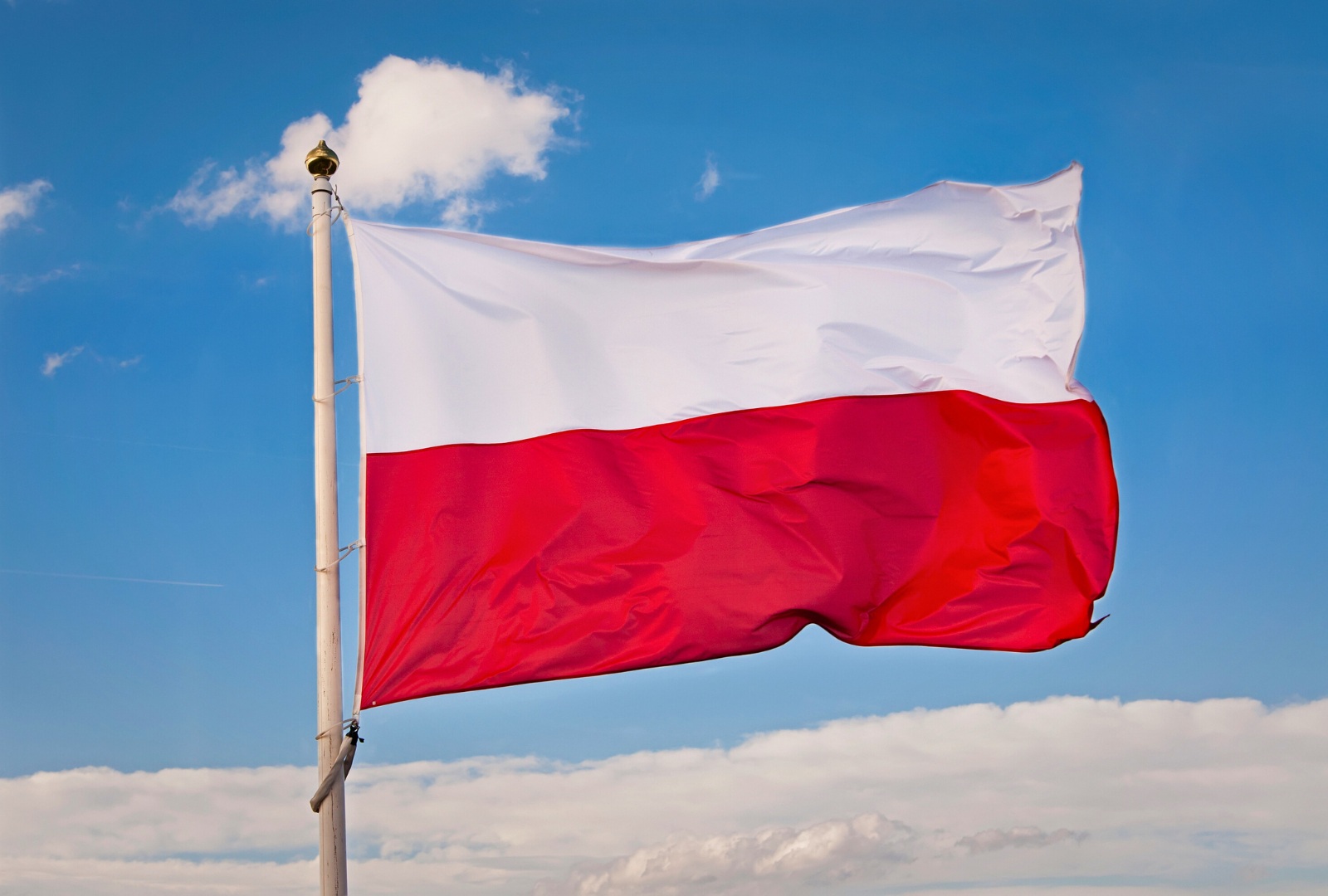 poland autorised representative